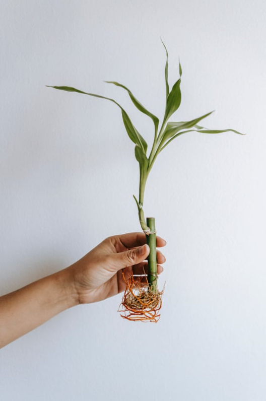Our unique functional medicine approach