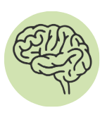 Functional Neurology brain illustration